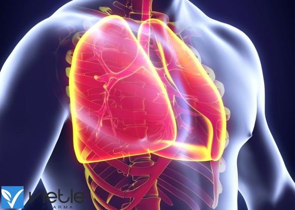 Viêm phổi không đáp ứng điều trị