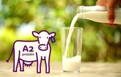Sữa A2 là gì và khác gì so với sữa thường? Sữa A2 có tốt không?