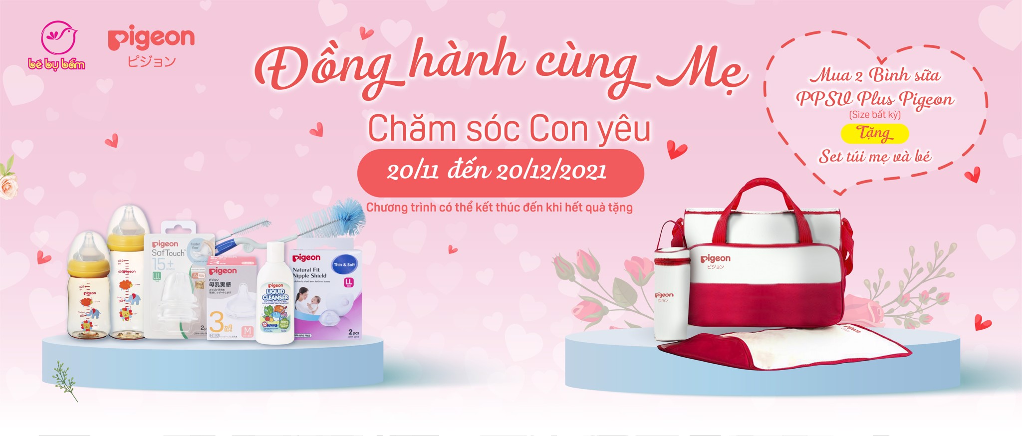 Pigeon khuyến mãi 