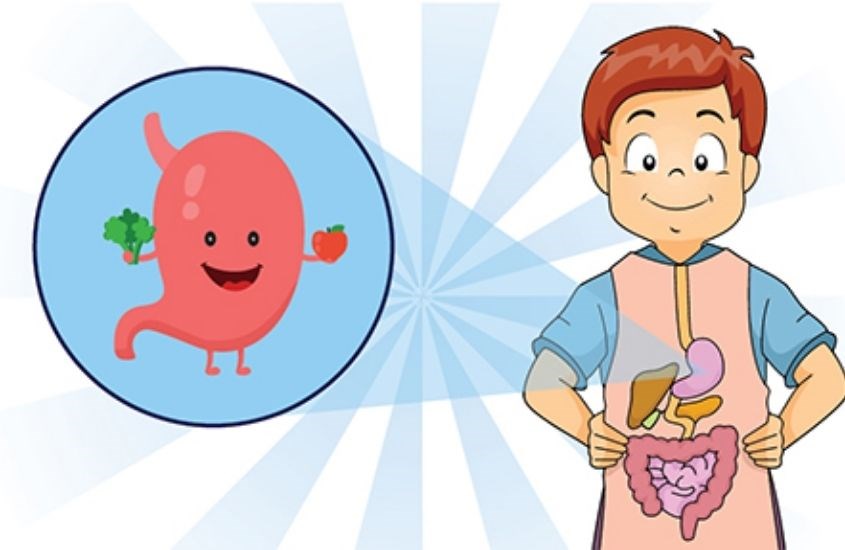 HMP là gì? Vai trò của HMP đối với hệ miễn dịch của trẻ nhỏ