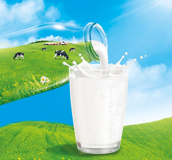 Sữa organic là gì? Có nên cho bé uống sữa organic không?
