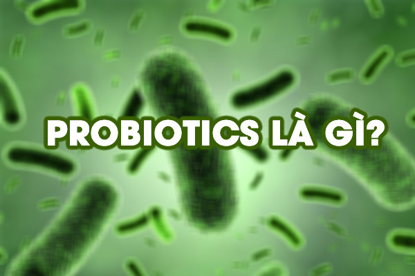 Lợi khuẩn probiotics là gì? Vai trò của lợi khuẩn