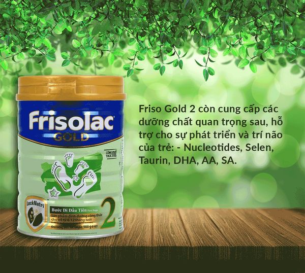 so sánh sữa nan và Friso