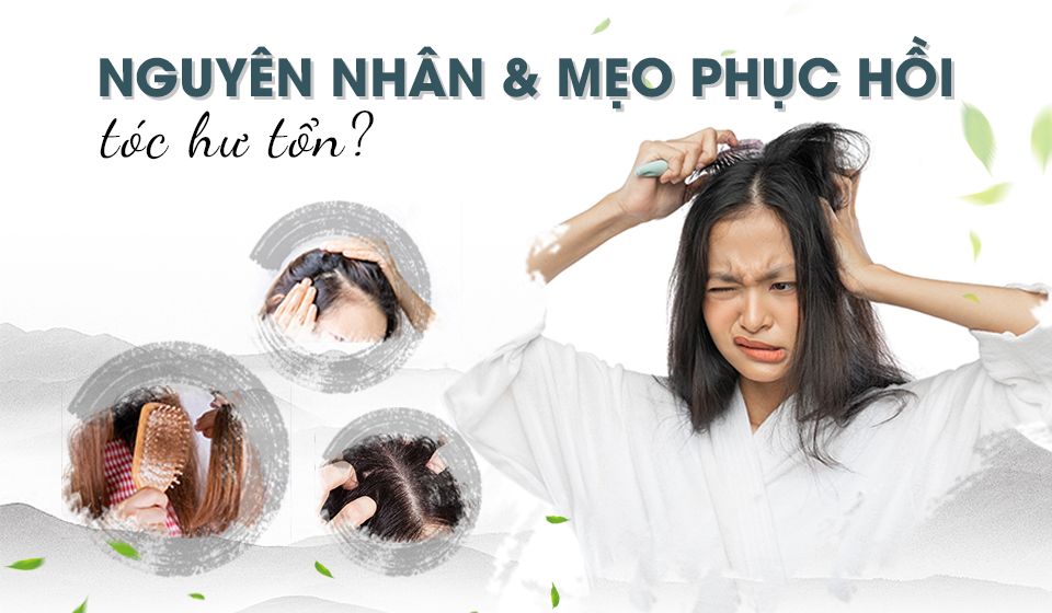 Tiết lộ nguyên nhân dẫn đến tóc hư tổn & các mẹo phục hồi hiệu quả