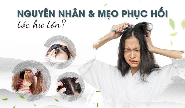 Tiết lộ nguyên nhân dẫn đến tóc hư tổn & các mẹo phục hồi hiệu quả