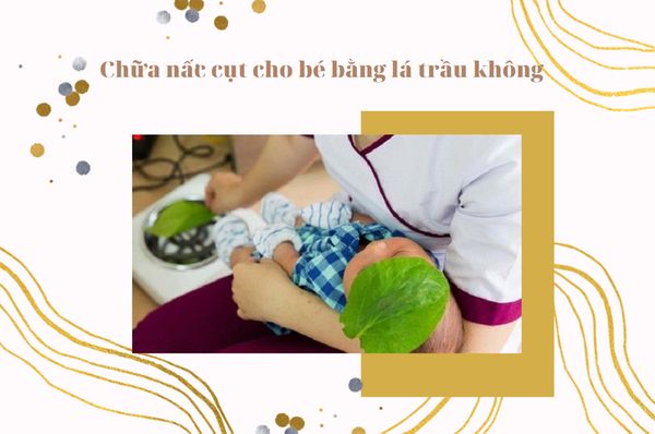 Chữa nấc cụt cho bé bằng là trầu không