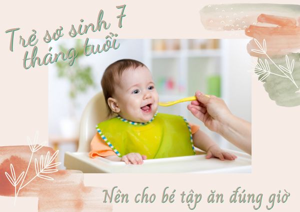 Tập cho bé ăn đúnggiờ