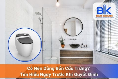 Có Nên Dùng Bồn Cầu Trứng? Tìm Hiểu Ngay Trước Khi Quyết Định
