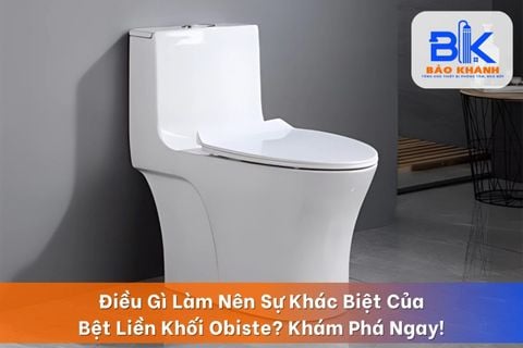 Bệt Liền Khối Nút Tròn – Thiết Kế Hiện Đại, Tiện Lợi Cho Mọi Gia Đình
