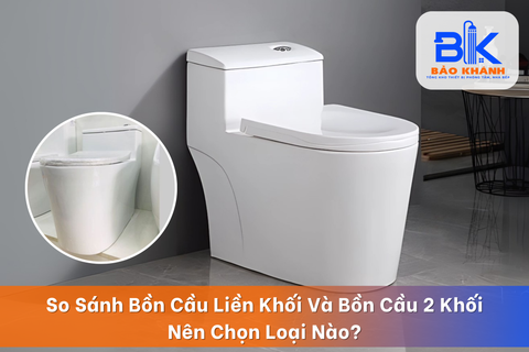 So Sánh Bồn Cầu Liền Khối Và Bồn Cầu 2 Khối - Nên Chọn Loại Nào?