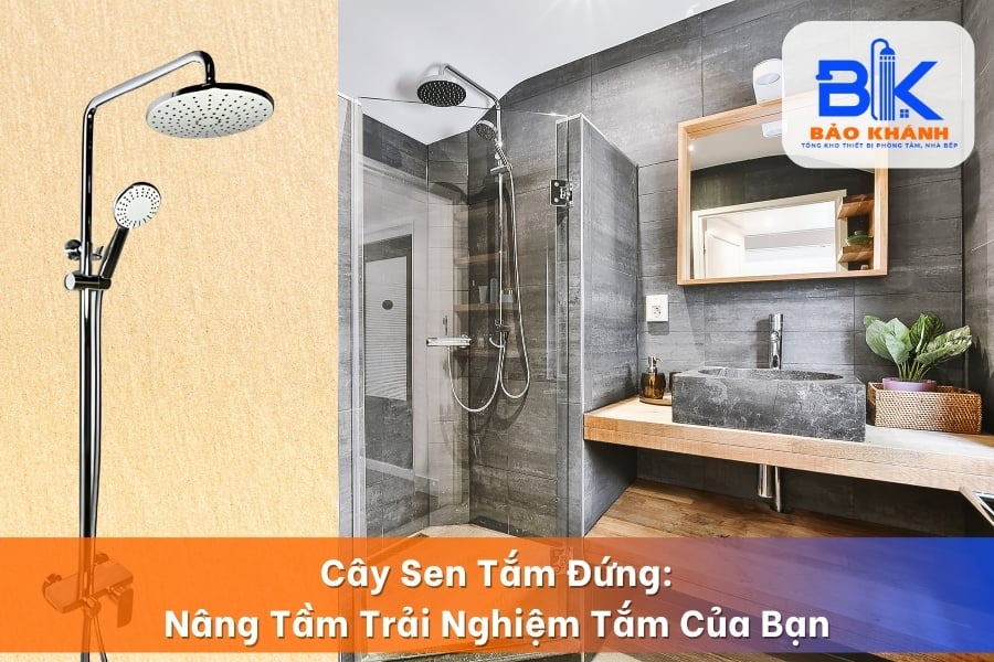 Cây Sen Tắm Đứng: Nâng Tầm Trải Nghiệm Tắm Của Bạn