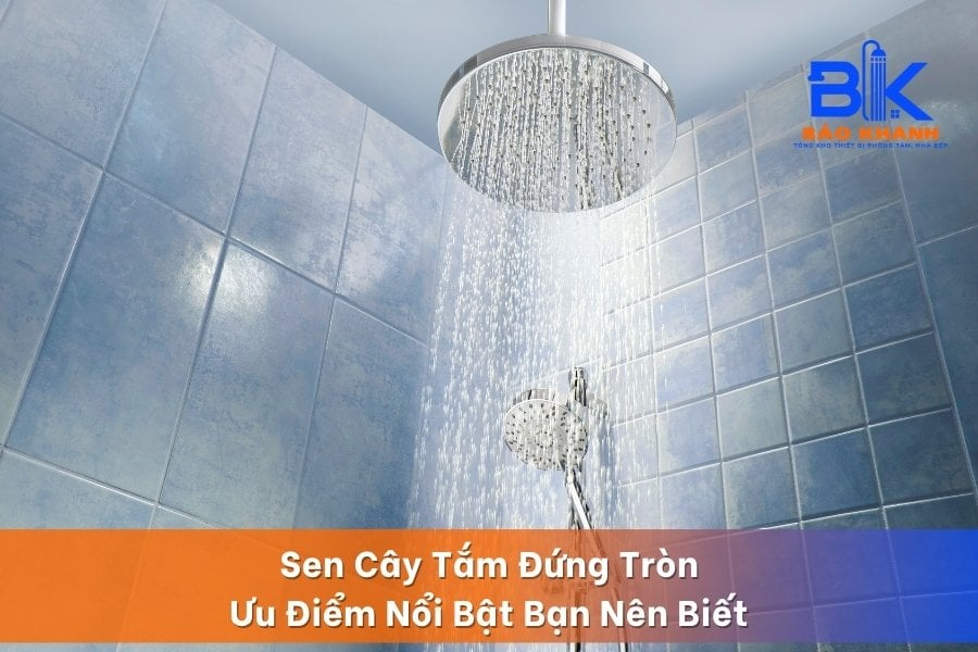 Sen Cây Tắm Đứng Tròn - Ưu Điểm Nổi Bật Bạn Nên Biết