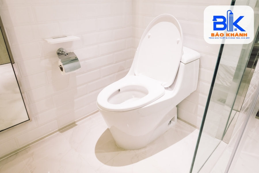 Bồn Cầu Bệt: Thiết Kế, Tính Năng Và Lựa Chọn Phù Hợp
