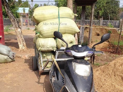 Mộc Nhiên Farm giai đoạn 2. Phần 4: Tham vọng.