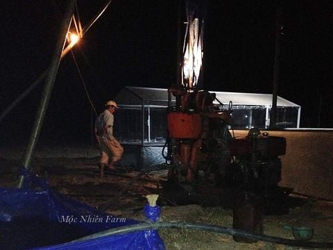 Mộc Nhiên Farm giai đoạn 2. Phần 2: Về vườn.