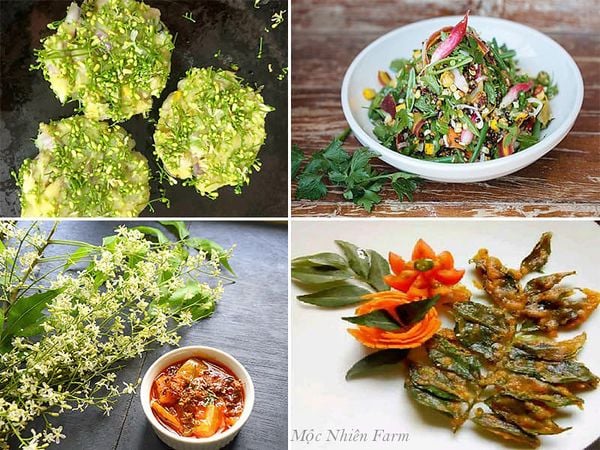 Các món ăn hấp dẫn làm với lá neem.