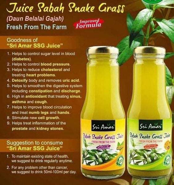 Snake grass juice - nước ép cỏ rắn - là một loại nước tốt cho sức khỏe và được phép mua bán rộng rãi.