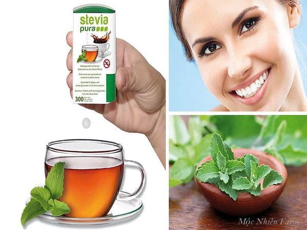 Uống trà stevia có lợi cho sức khỏe răng miệng.