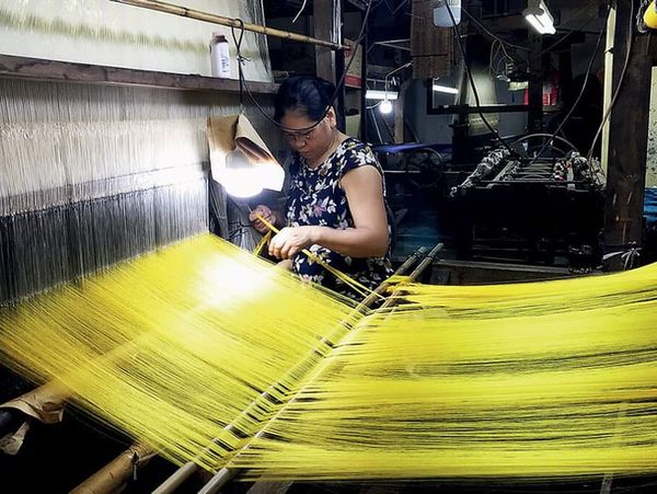 Cây dâu tằm đóng góp rất lớn vào ngành công nghệ may mặc tại Việt Nam và ở một số đất nước khác.