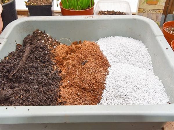 Một số thành phần cần thiết cho giá thể.