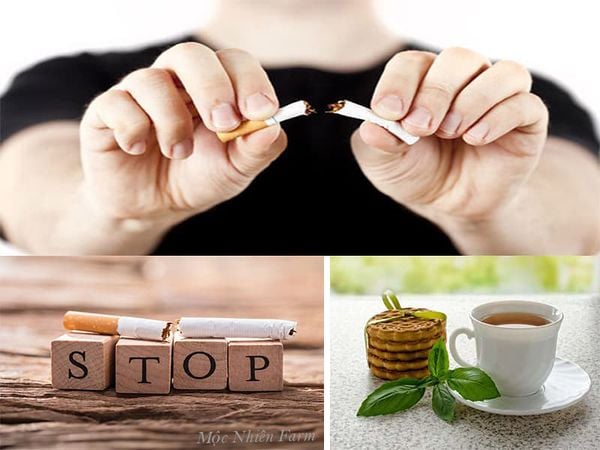 Hương vị the mát giúp cho người nghiện thuốc lá cai thuốc dễ hơn.