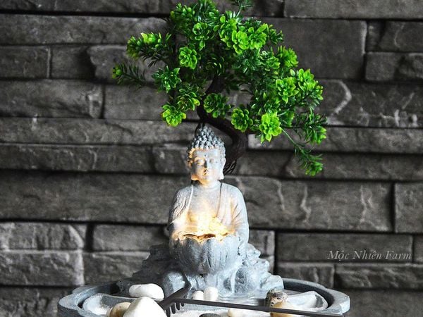 Chăm sóc, tạo dáng và chiêm ngắm bonsai được coi như một phương thức để thiền định.