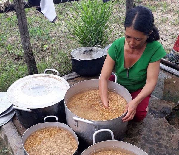 cach-u-lua-lên-mam-nhanh