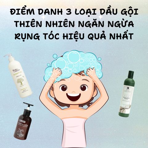 ĐIỂM DANH 3 LOẠI DẦU GỘI THIÊN NHIÊN NGĂN NGỪA RỤNG TÓC HIỆU QUẢ NHẤT