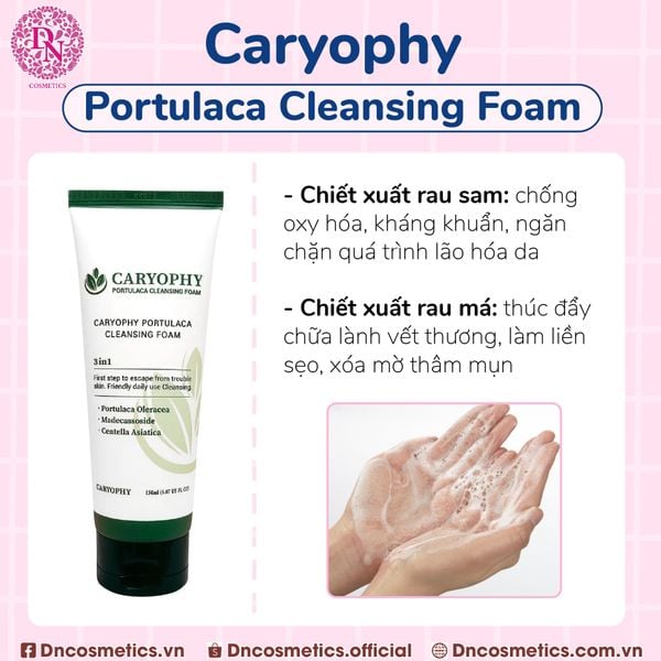 Sữa rửa mặt Caryophy Portulaca Cleansing Foam
