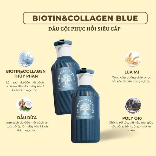 Thành phần dầu gội xả biotin Collagen essence