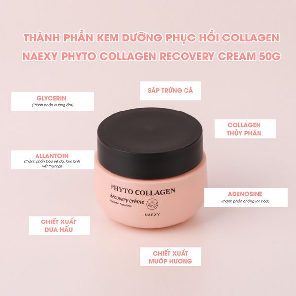 thành phần kem dưỡng phyto naexy