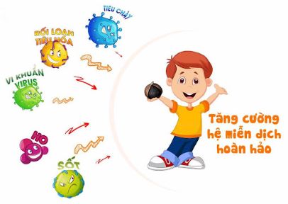 Cơ thể khoẻ mạnh khi sử dụng 5 loại thực phẩm giúp tăng cường hệ miễn dịch sau