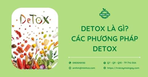 Detox là gì? Các phương pháp detox thông dụng hiện nay
