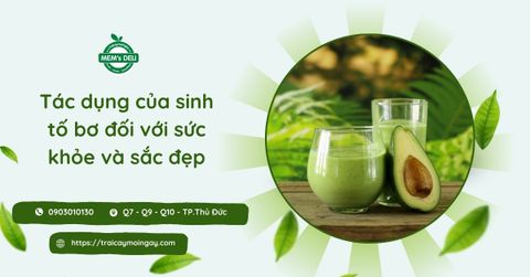 Sinh tố bơ có tác dụng gì đối với sức khỏe và sắc đẹp?