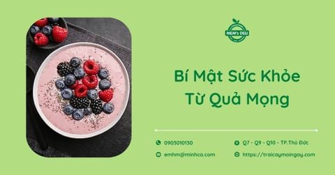 Quả mọng là gì? Tổng hợp các loại quả mọng tốt cho sức khỏe