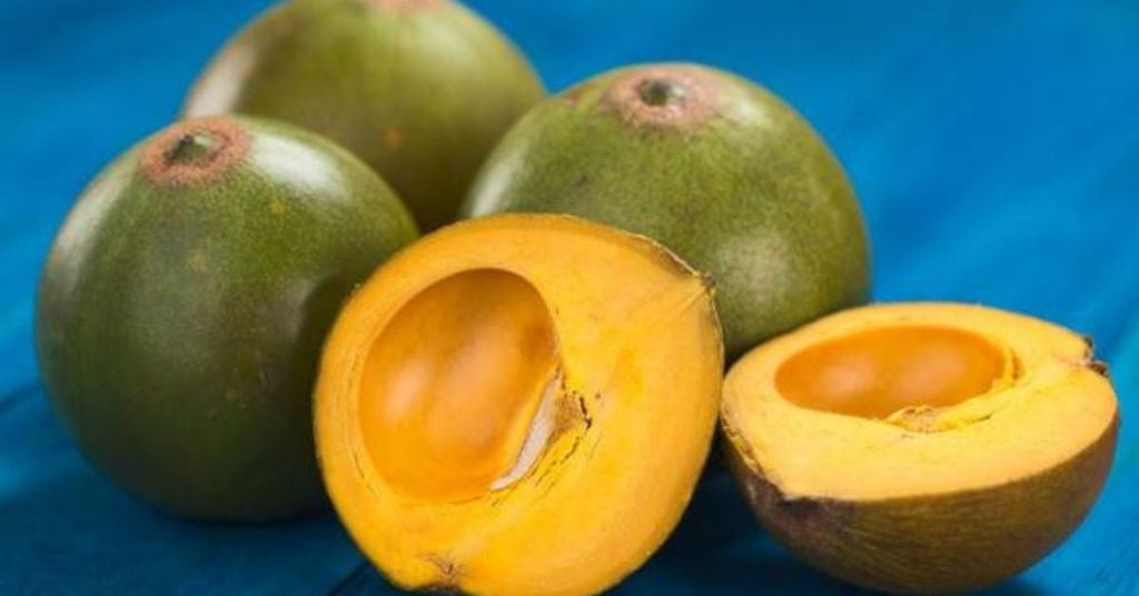 Quả trứng gà – lêkima  giúp làm giảm cholesterol trong máu, ngăn ngừa các bệnh tim mạch và béo phì