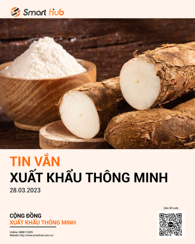 TIN VẮN XUẤT KHẨU THÔNG MINH 28.03.2023