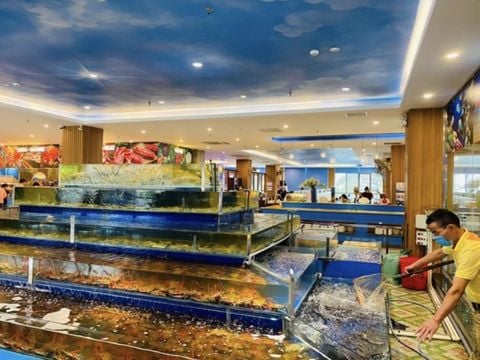 Buffet hải sản Hải Phòng HP3 Seafood thu hút thực khách nhờ đâu?