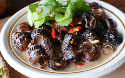 Món ngon Hải Phòng - Ốc len xào dừa béo ngậy cùng HP3 Seafood