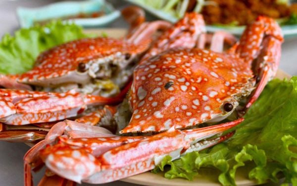 Tổng hợp 7 loại hải sản ngon Hải Phòng và cách chọn hải sản tươi sống Halong-seafood_6f081c9f8474478f82a916f99c9a9997_grande