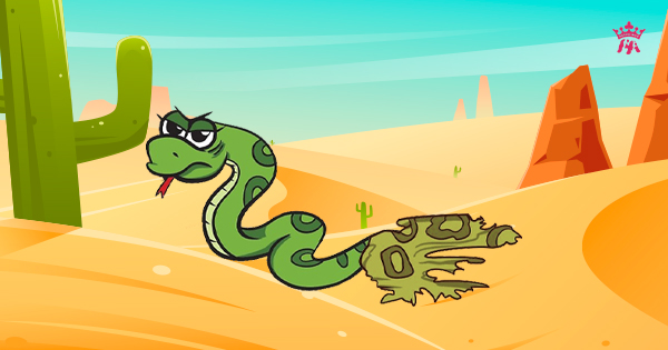 Vì sao loài rắn lại lột xác?