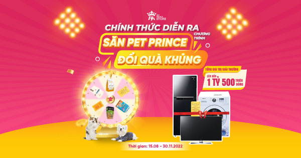 CHÍNH THỨC DIỄN RA 