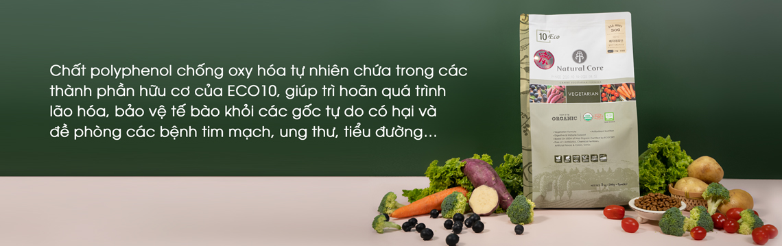 Thức ăn hạt hữu cơ Natutal Core cho chó ăn kiêng - Lợi ích nổi bật