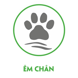 Cat's Best Sensitive êm dịu chân mèo