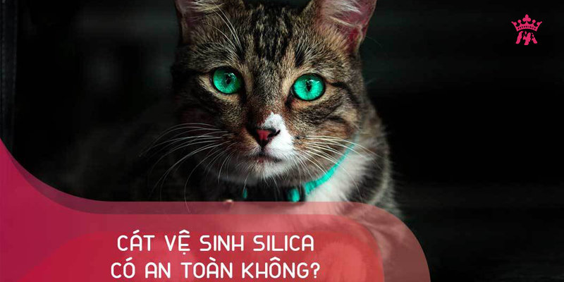 cat-thuy-tinh-silica-ban-dang-dung-co-thuc-su-an-toan