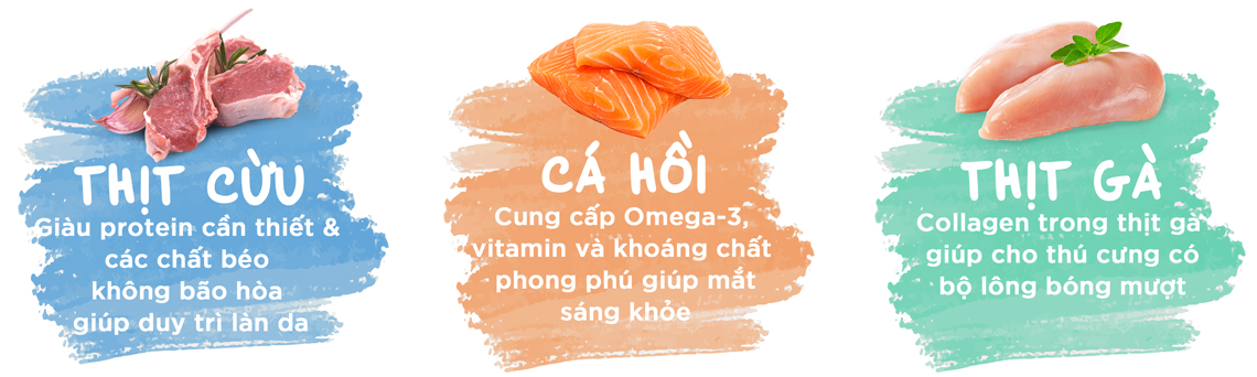 Thức ăn hạt hữu cơ đa đạm cho chó Natural Core - Thành phần