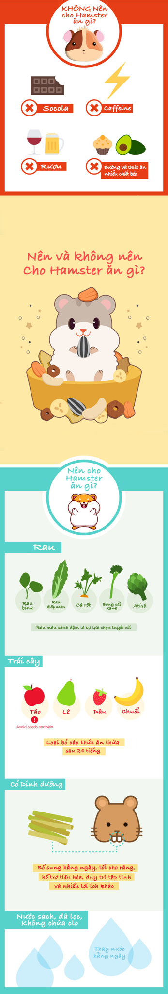 Hình ảnh về những thực phẩm không nên cho Hamster ăn