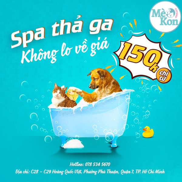 Tắm cho thú cưng | Spa