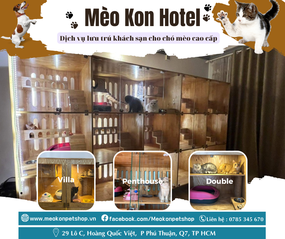 Khách sạn cho chó mèo | Hotel for Dog & Cat