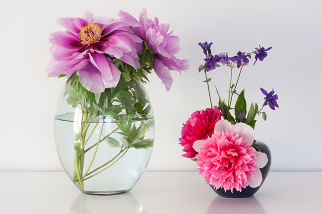 How to keep flowers fresh for a long time at home